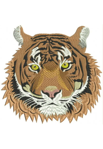 Pet098 - Tiger